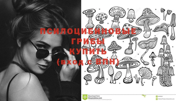 гашик Волоколамск