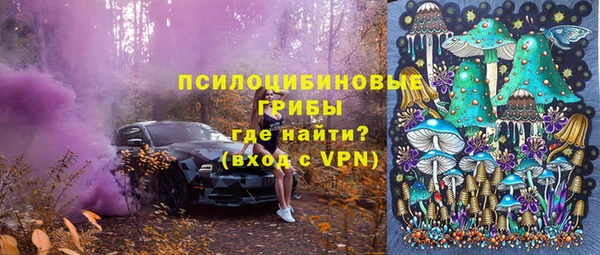 гашик Волоколамск