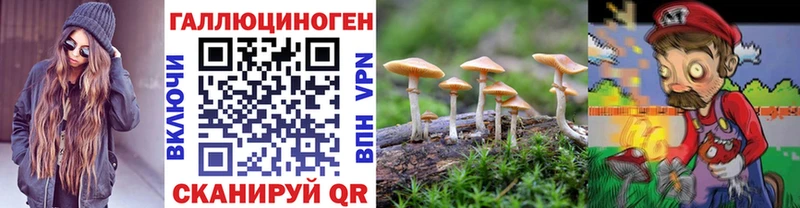 Псилоцибиновые грибы ЛСД  где продают наркотики  Балашиха 